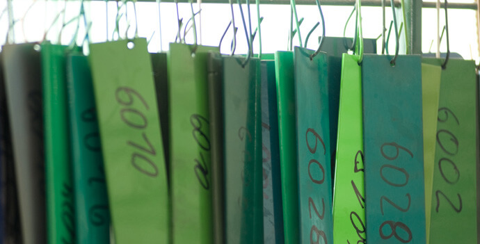 Donec in maximus augue