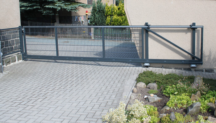 Duis fermentum felis