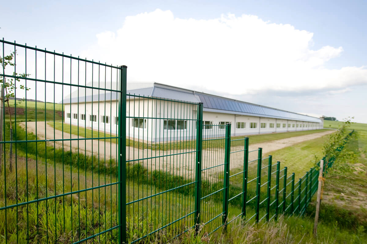 Cras tristique purus non lacus